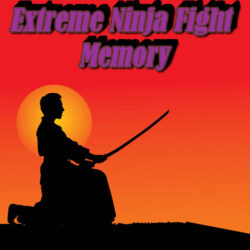 Extreme Ninja Fight Memory